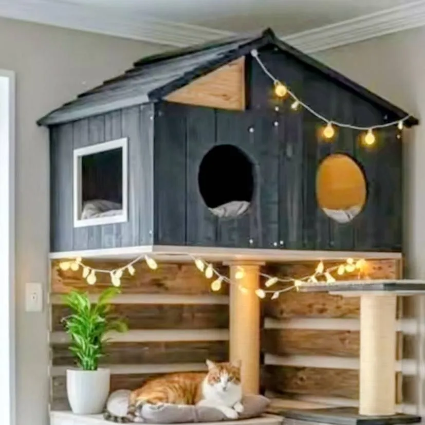 chat with ai character: casa de gatos😼