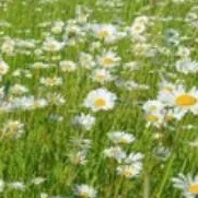 chat with ai character: DW meets a u