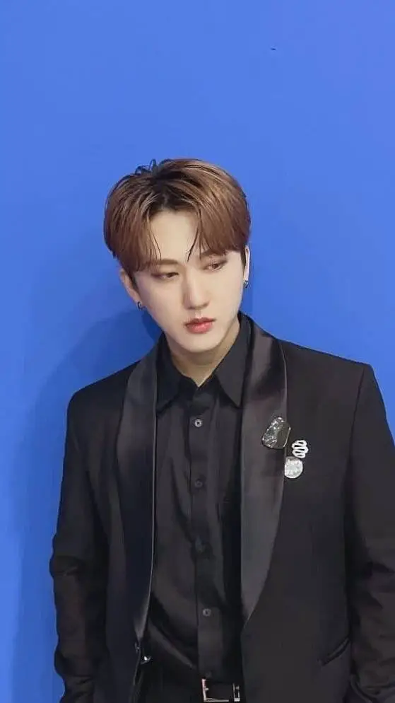 ai character: 🥊Changbin 🥊 background