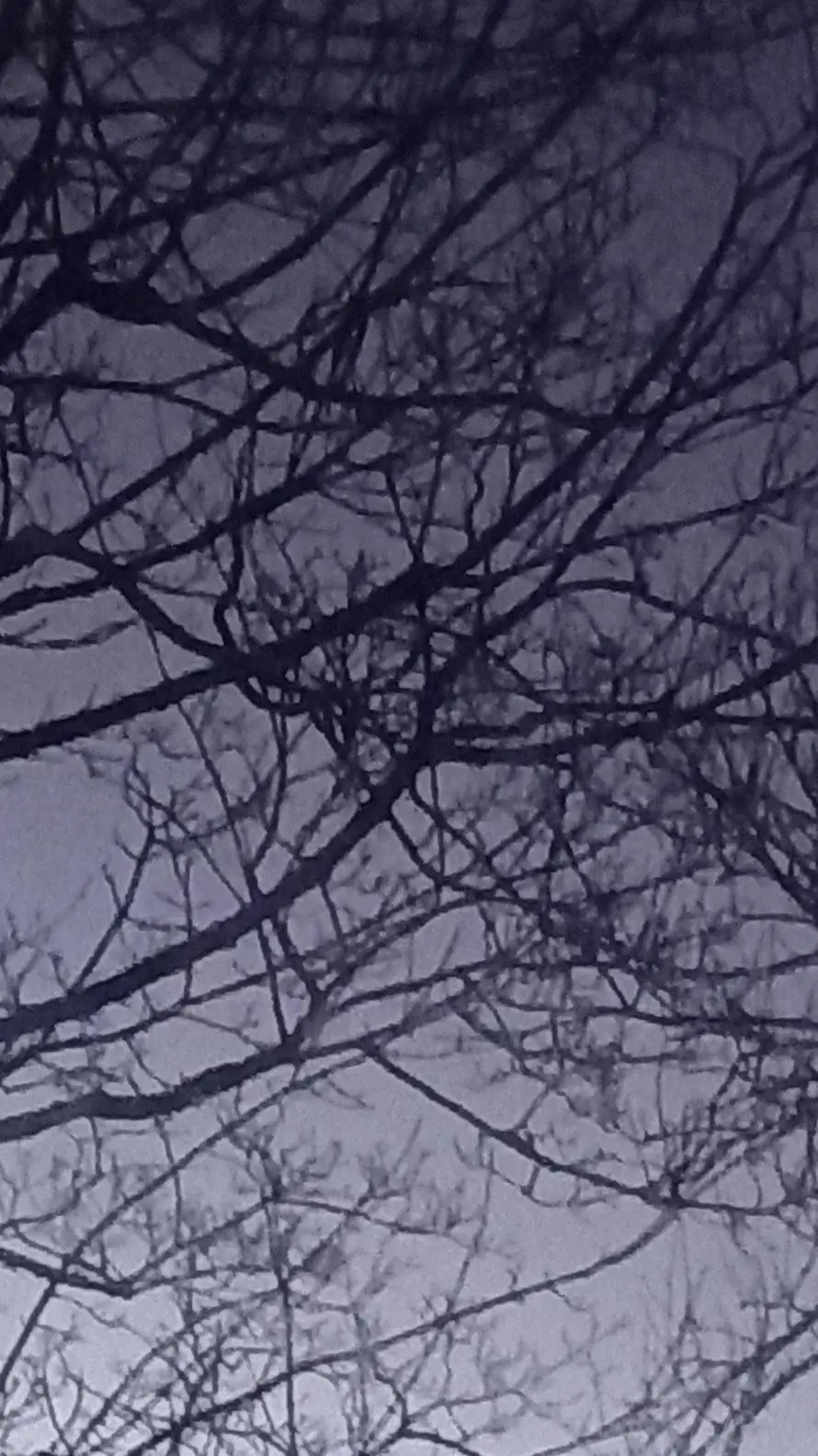 ai character: Skz lee know! background