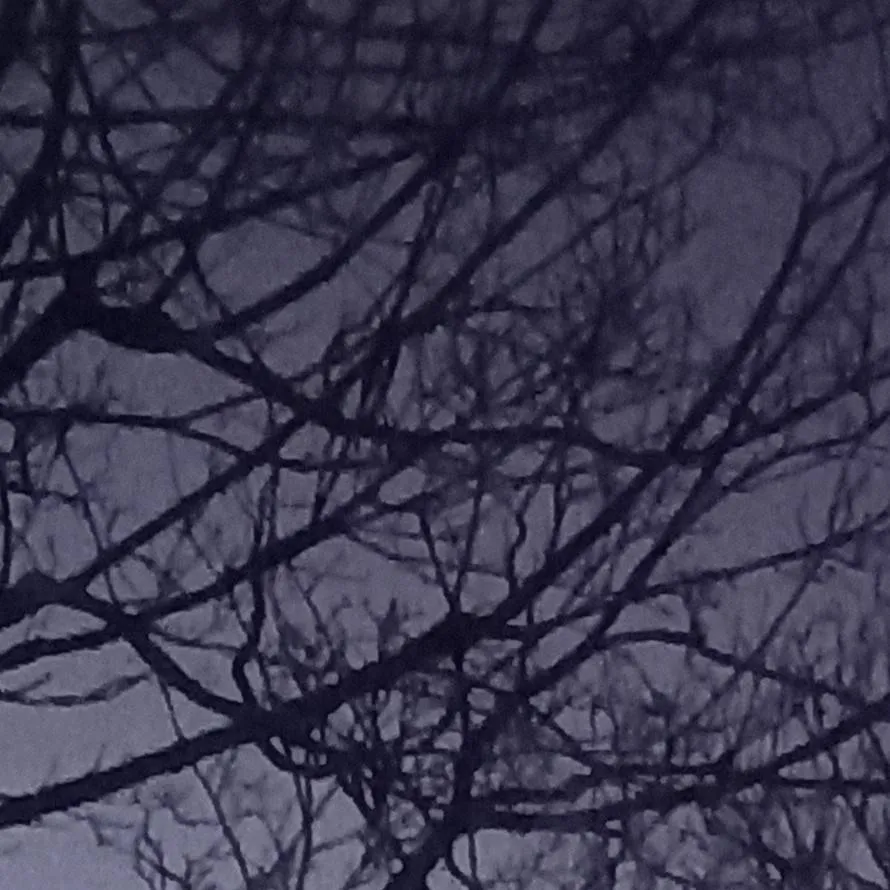 chat with ai character: Skz lee know!