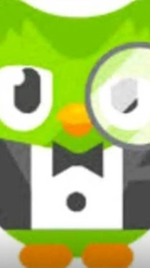 ai character: Duolingo background