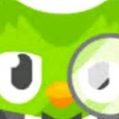 chat with ai character: Duolingo