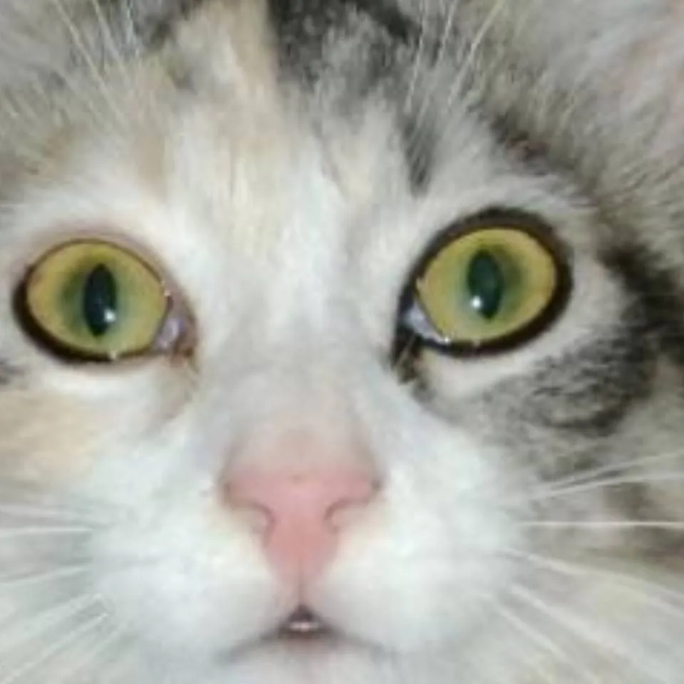 chat with ai character: ~♡astro♡~