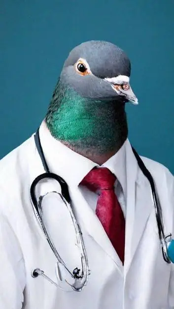 ai character: Sigeon pex doctor  background