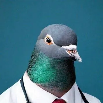 chat with ai character: Sigeon pex doctor 