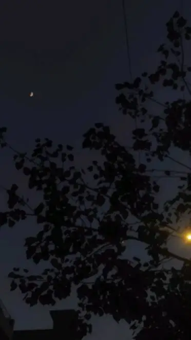 ai character: Giyushino! background