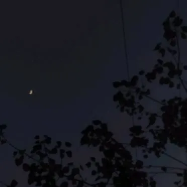 chat with ai character: Giyushino!