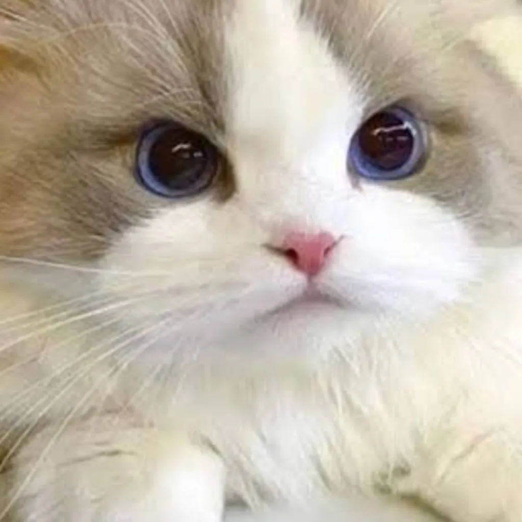 chat with ai character: Angel 