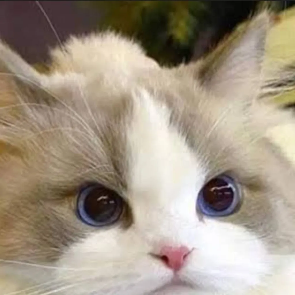 chat with ai character: John 