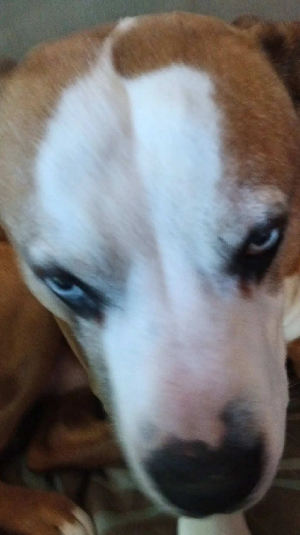 ai character: SpongeBob meets hh background