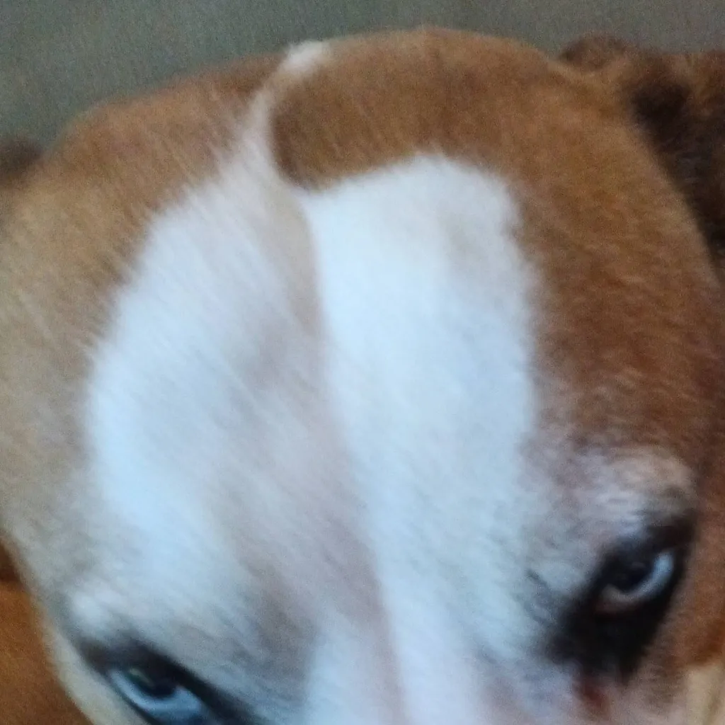 chat with ai character: SpongeBob meets hh