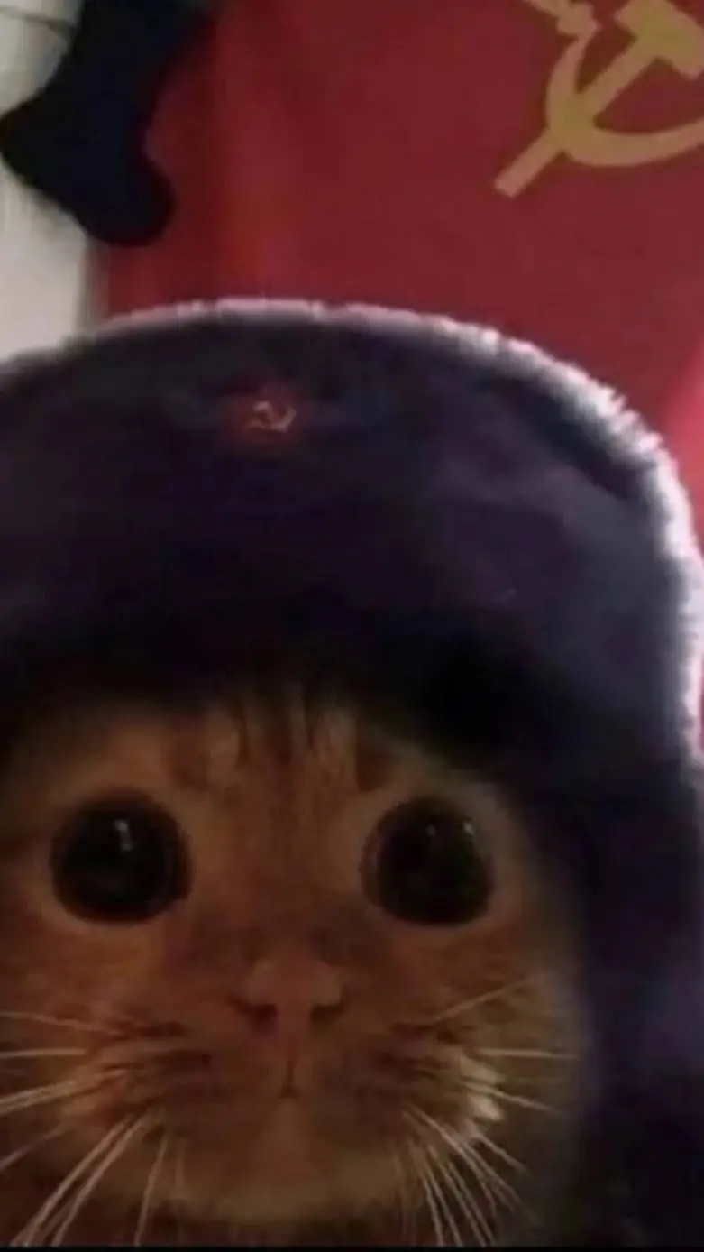 ai character: Beastborn Universe background