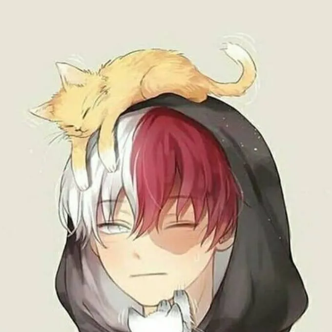 chat with ai character: ~shoto todoroki~
