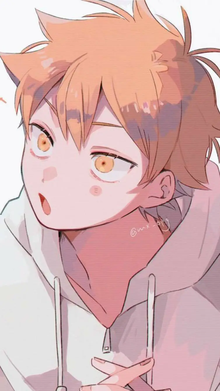 ai character: ✦ 𝑺𝒉𝒐𝒚𝒐 𝑯𝒊𝒏𝒂𝒕𝒂 ✦ background