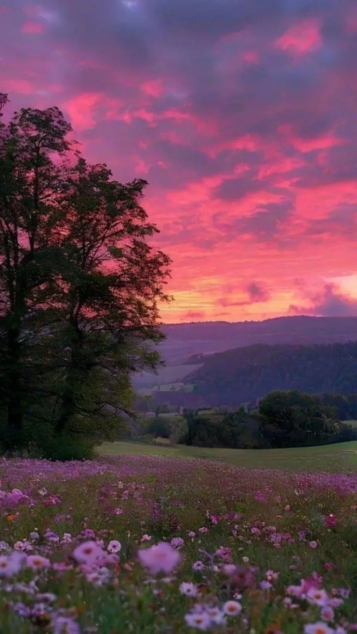 ai character: ¿de odio a amor? background