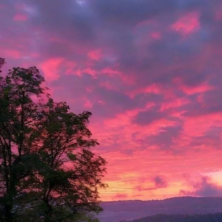 chat with ai character: ¿de odio a amor?