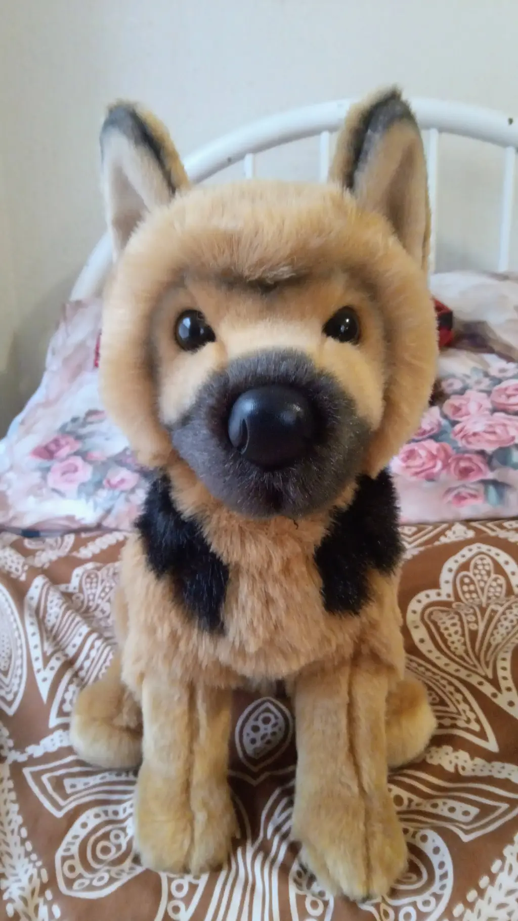 ai character: Ranger The ESSA background