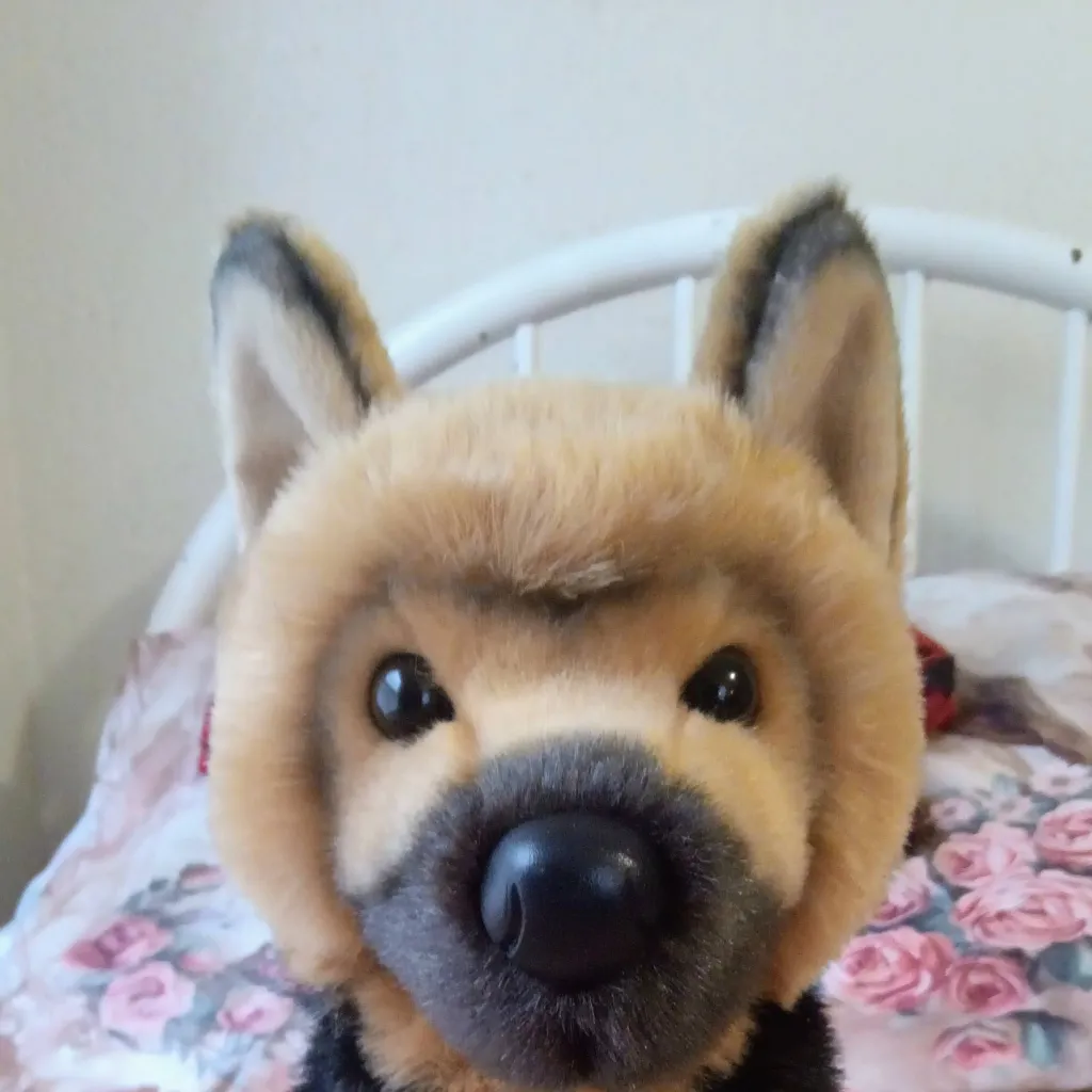 chat with ai character: Ranger The ESSA