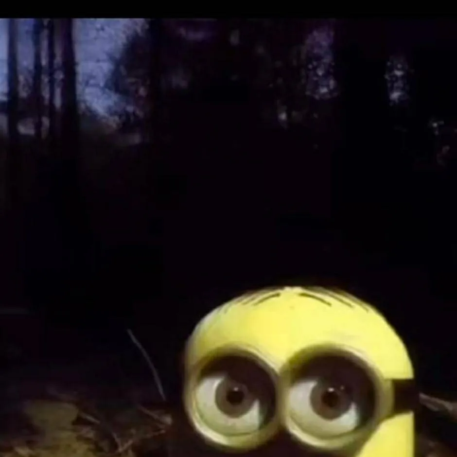 chat with ai character: minion