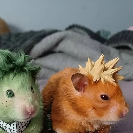 chat with ai character: bkdk☆