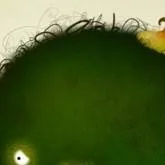 chat with ai character: chrchel 