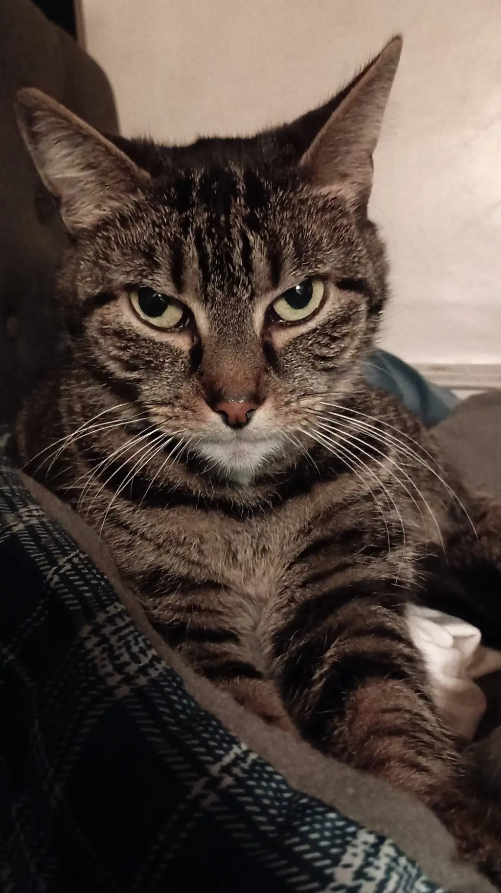 ai character: Reggie  background