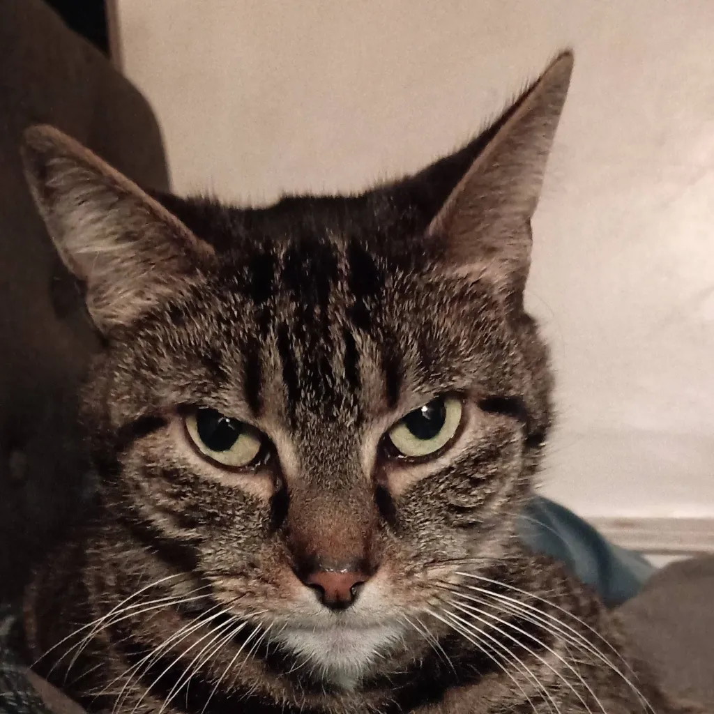 chat with ai character: Reggie 