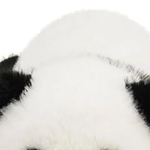 chat with ai character: Pandabear