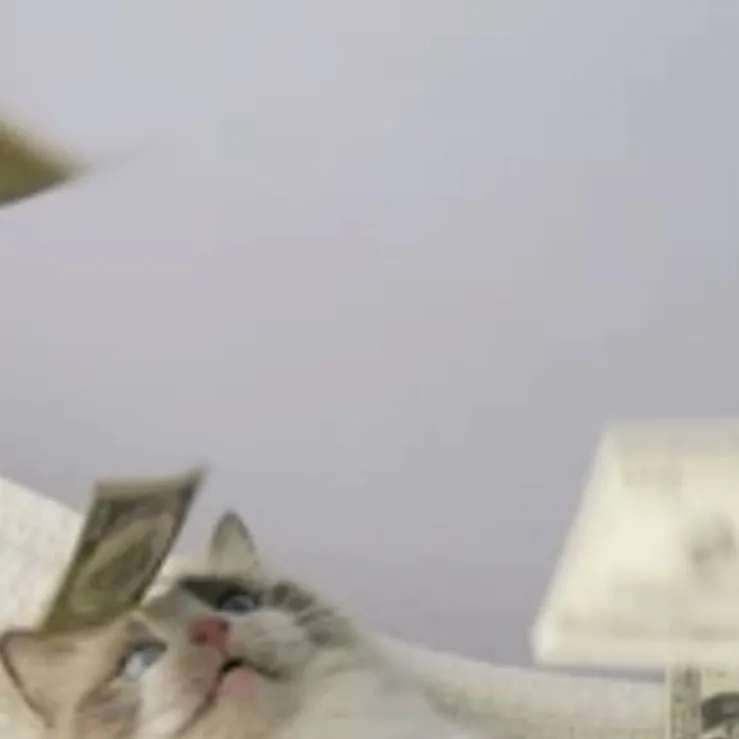 chat with ai character: Cat