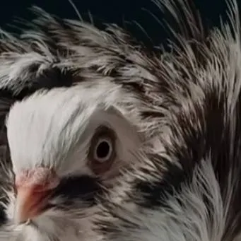 chat with ai character: BlockTales