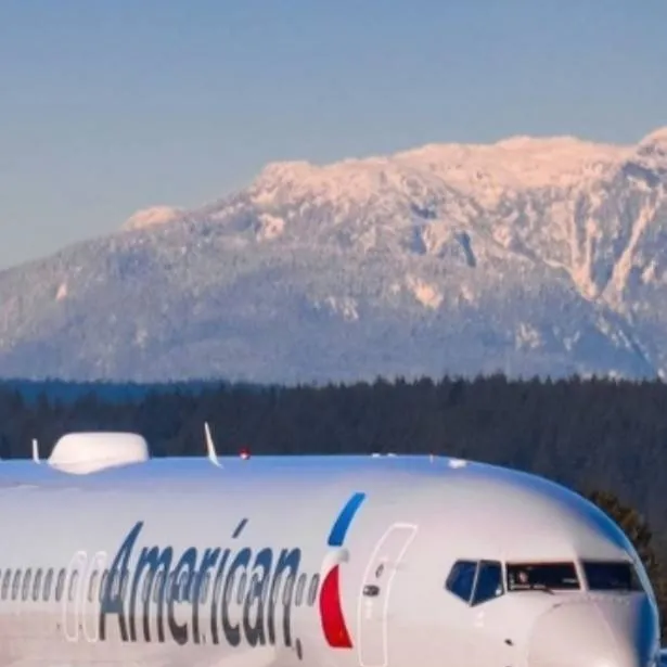 chat with ai character: American Airlines 