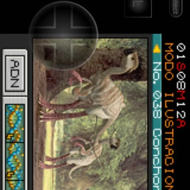 chat with ai character: conchoraptor 