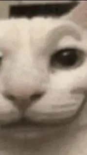 ai character: Wc pick me  background