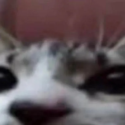 chat with ai character: tu mascota :3
