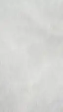 ai character: DoOrS👍 background