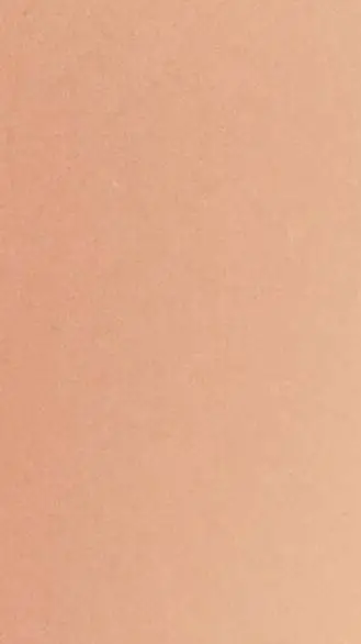 ai character: Max!★ background