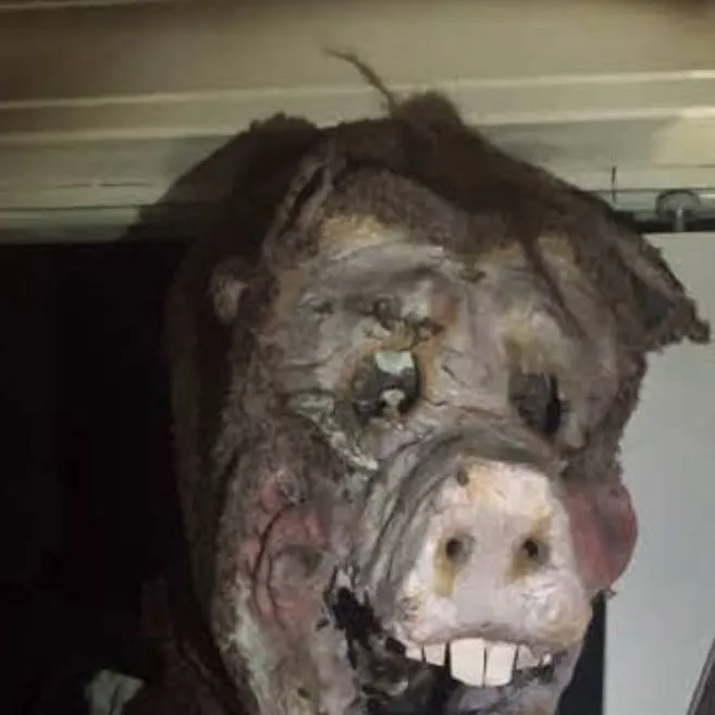 chat with ai character: Hogret the Hog