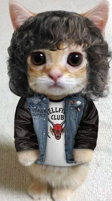 ai character: Eddie gato background