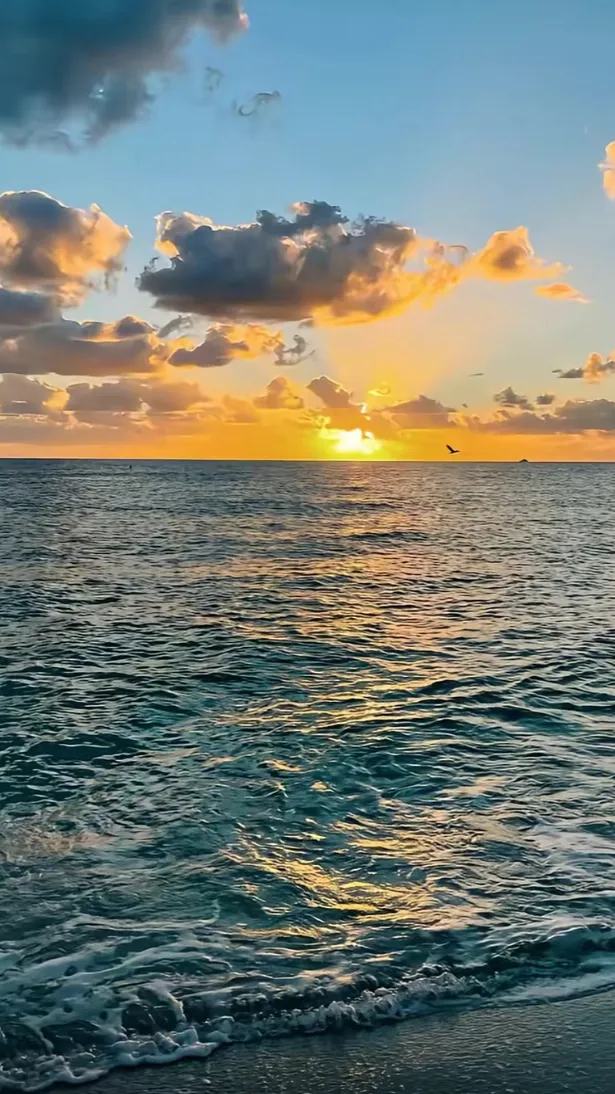 ai character: Layla  background