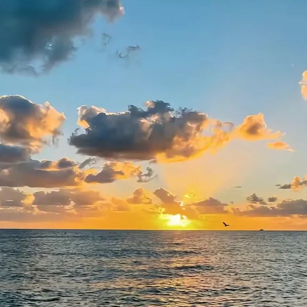 chat with ai character: Layla 