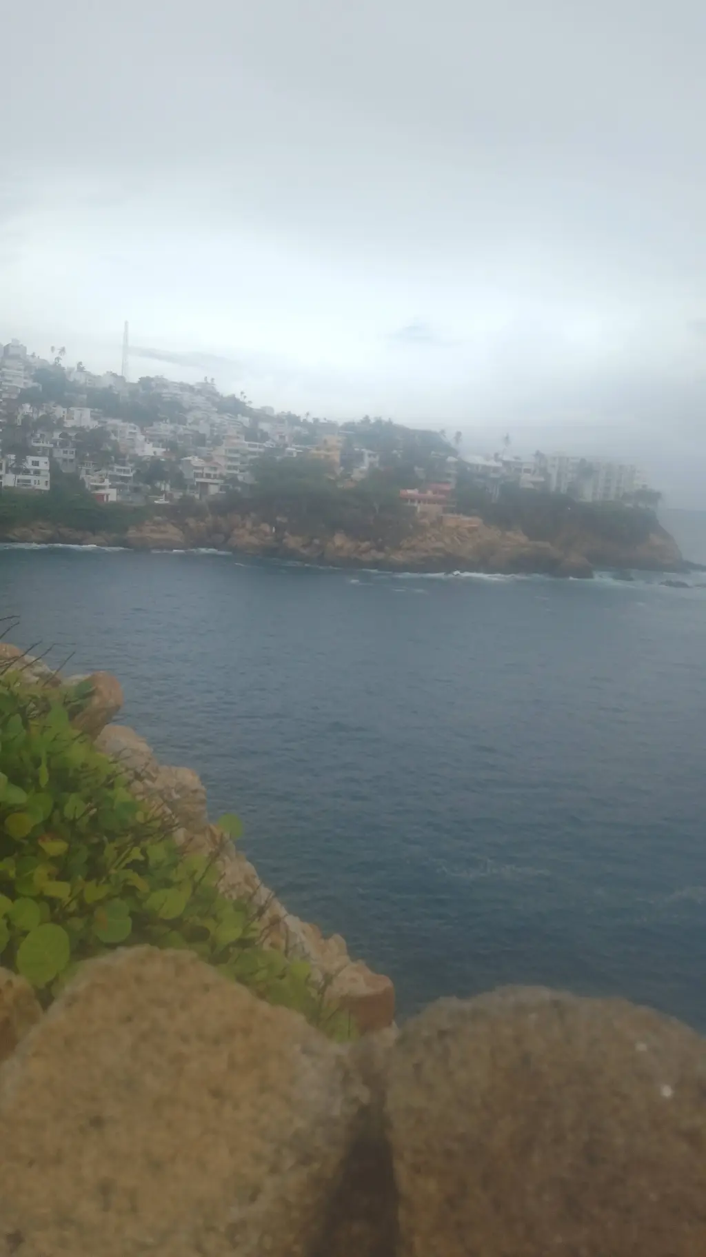 ai character: acapulquito 🤑 background