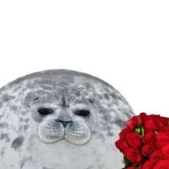 chat with ai character: shma te odia