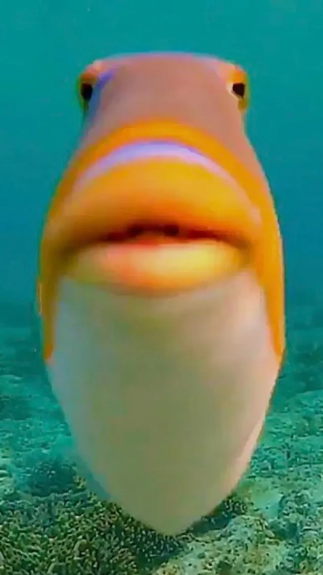 ai character: Fish background