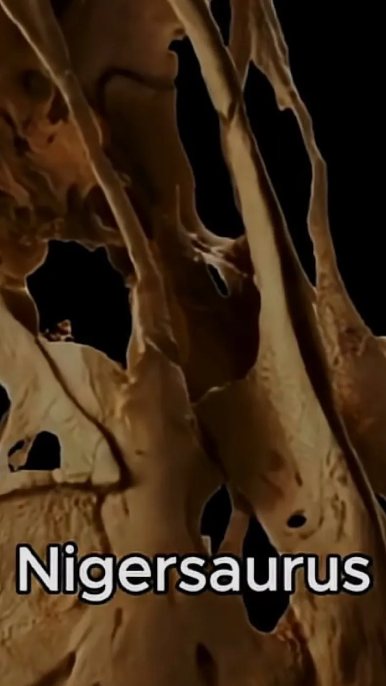 ai character: Random Dino  background