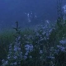 chat with ai character: Mha loves you!!! 