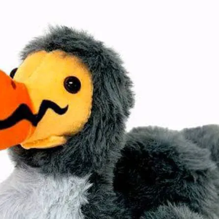 chat with ai character: el dodo epico