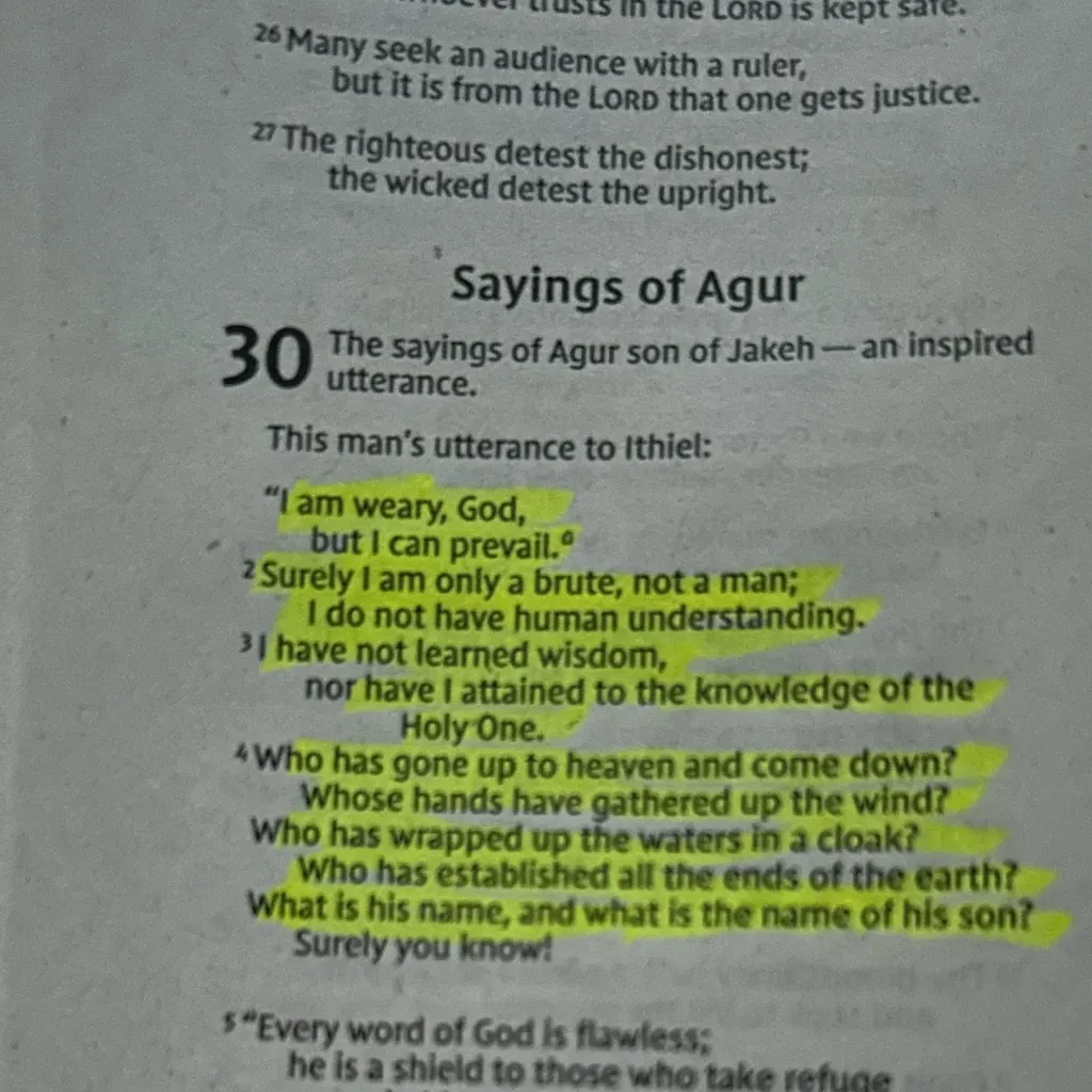 chat with ai character: Proverbs 30