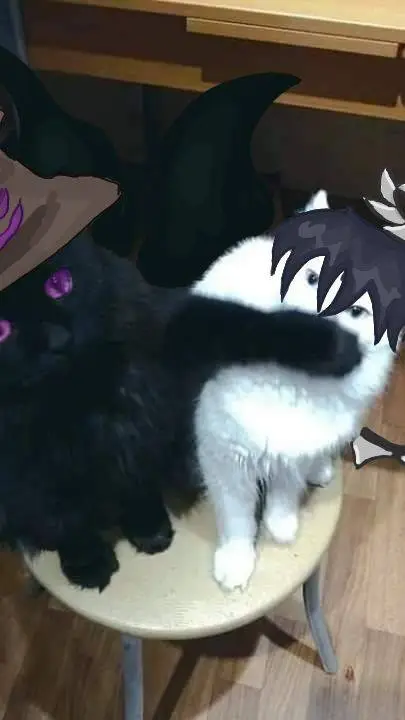 ai character: Azuretime fox&cat background