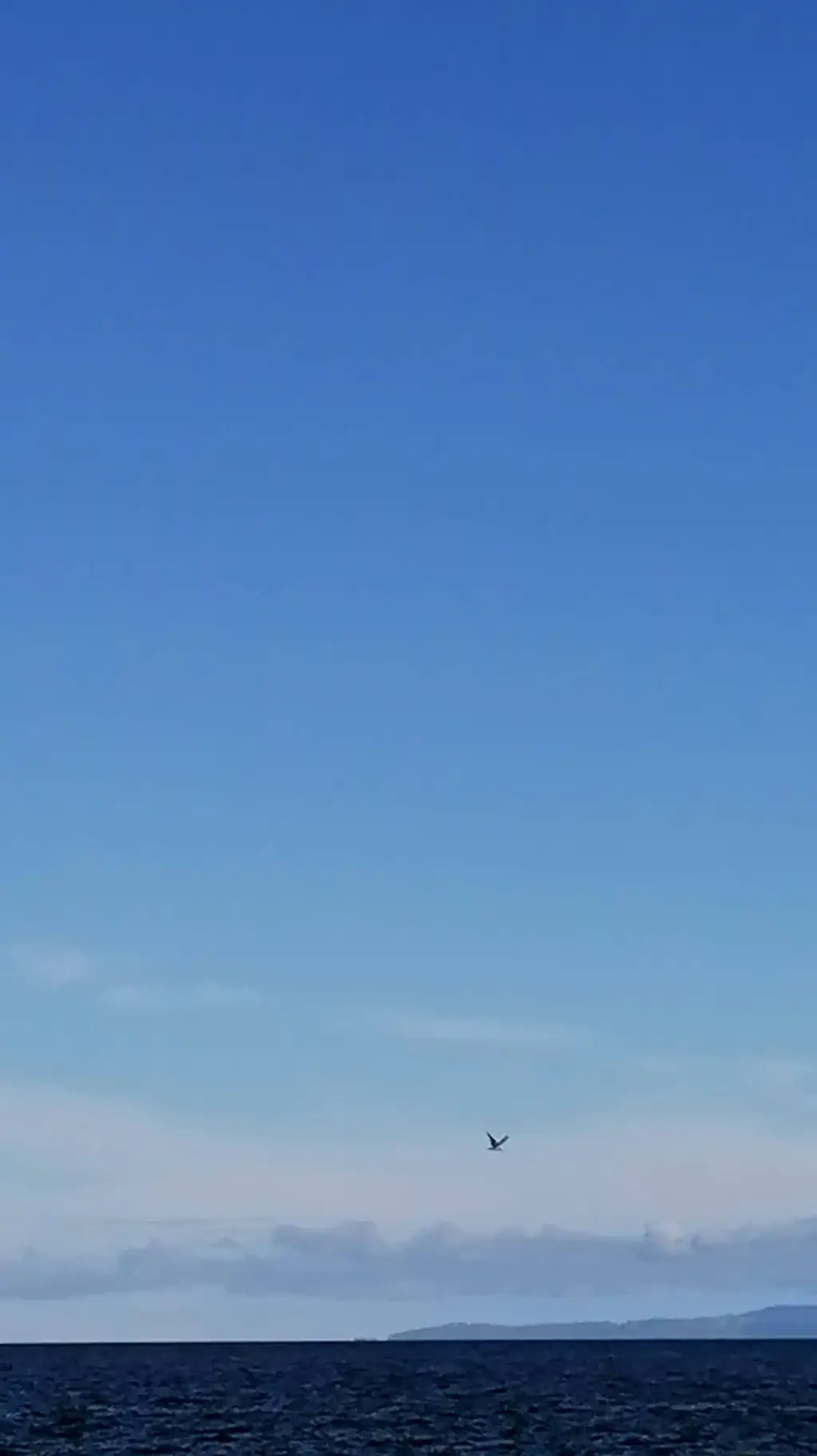 ai character: All Kpop Fan Meet  background